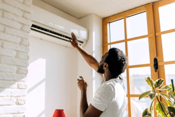 Best Ductless Mini-Split Systems in Fowlerville, MI